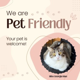 a kitty on a pet-friendly announcement