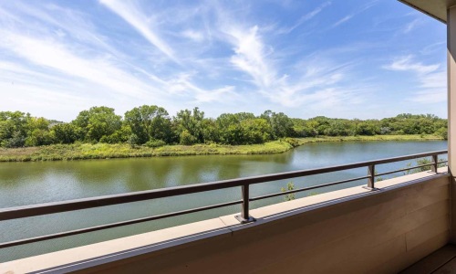a body of water with trees in the background